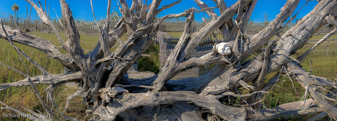 Photo by Richard Rathe Panorama, Panopainting, Driftwood, Florida