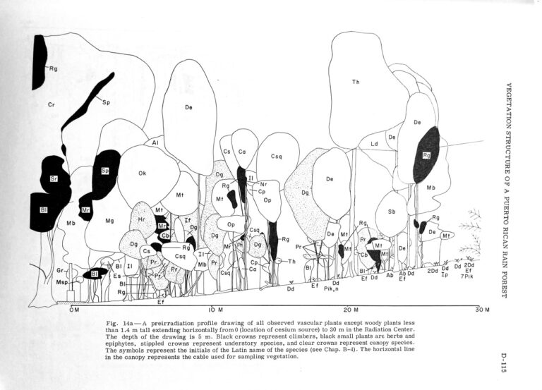 Vegetation Profile