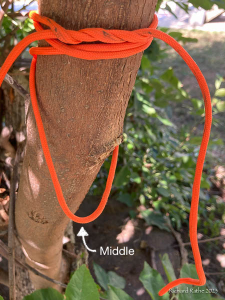 Treehugger Hitch Step 1