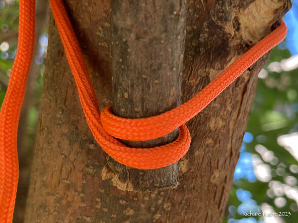 Treehugger Hitch Step 2