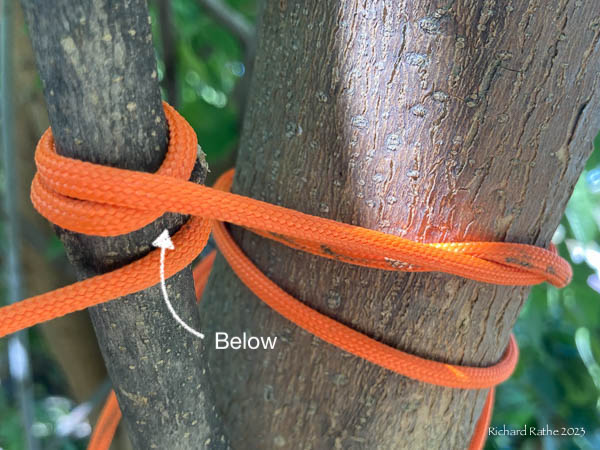 Treehugger Hitch Step 3