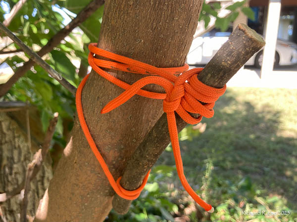 Treehugger Hitch Step 4