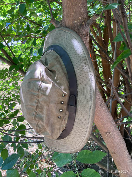 Treehugger Hitch Step 7