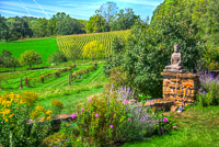 0012 Hdr Taliesin 2012 