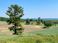 0021 Taliesin 2023 