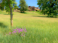 0027 Taliesin 2023 