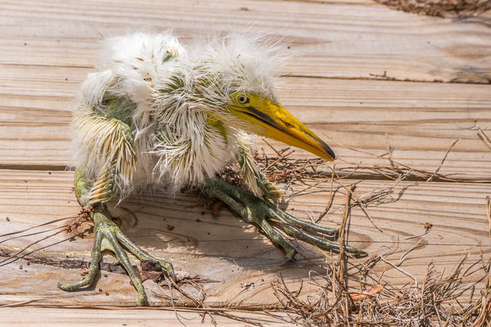 Improved After Drying & Warming Up