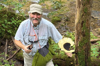 Dryads Saddle 2