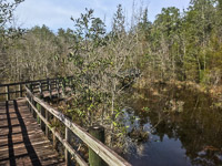 0005 Panhandle 2020 Clear Creek Boardwalk