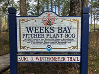 0048 Panhandle 2020 Pitcher Plants Sign 