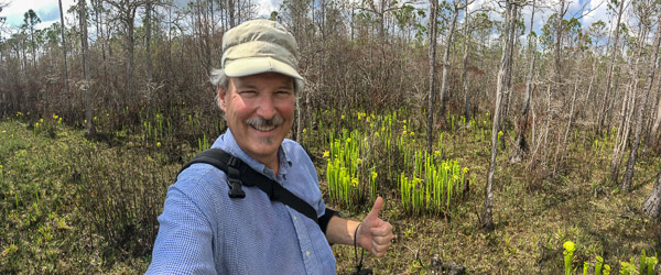 Carnivorous Plant Heaven