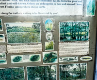 0002 Panhandle 2025 Pitcher Plants Sign 