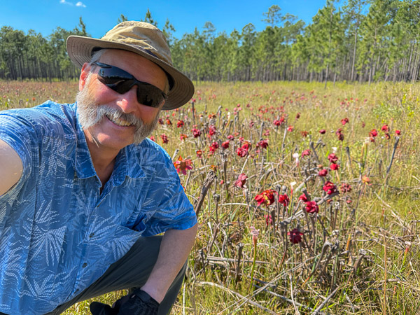 Pitcher Plant Heaven!