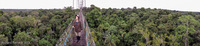 Panorama 006 Panorama Sasha Lodge Ecuador Treetop Walk
