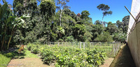 Panorama 010 Panorama Sasha Lodge Ecuador 