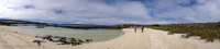 Panorama 016 Galapagos Panorama Panorama