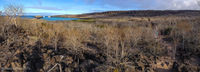 Panorama 035 Galapagos Panorama Santa Fe Island