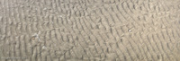 Panorama 075 Amelia Island 2013 Artistic Panorama Sand Surf Panorama Experiments
