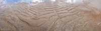 Panorama 083 Amelia Island 2013 Artistic Panorama 