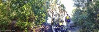 Panorama 084 Everglades 2014a Panorama Lard Can Campsite
