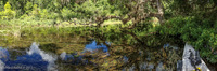 Panorama 117 Gum Slough 2015 Panorama 