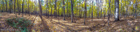 Panorama 141 Guttenberg 2015 Panorama Pikes Peak Iowa 