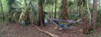 Panorama 158 Camping Hammock Tents Panorama 