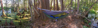 Panorama 159 Camping Hammock Tents Panorama 