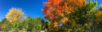 Panorama 226 Denver Panorama 