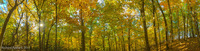 Panorama 264 Guttenberg 2017 Panorama Pikes Peak Iowa 