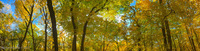 Panorama 265 Guttenberg 2017 Panorama Pikes Peak Iowa 