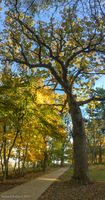 Panorama 266 Guttenberg 2017 Panorama Pikes Peak Iowa 