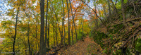 Panorama 267 Guttenberg 2017 Panorama 