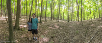 Panorama 307 Guttenberg 2018 Panorama Pikes Peak Iowa Theron And Ingrid