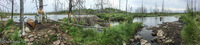 Panorama 318 Bwca 2018 Panorama Results Of Pagami Fire 2011