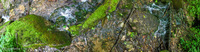Panorama 390 Big Spring Guttenberg 2019 Panorama 