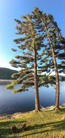 Panorama 403 Panorama Sacandaga Lake 