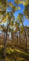 Panorama 435 Panorama The Maze Utah 2019 Warner Lake 