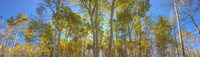 Panorama 436 Panorama The Maze Utah 2019 Warner Lake 