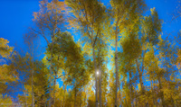 Panorama 437 Panorama The Maze Utah 2019 Warner Lake 