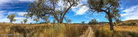 Panorama 438 Panorama Picket Wire Canyon 2019 