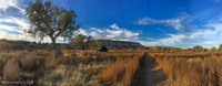 Panorama 448 Panorama Picket Wire Canyon 2019 