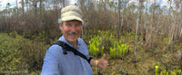 Panorama 468 Panhandle 2020 Panorama Pitcher Plants Self Portrait 