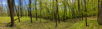 Panorama 474 Guttenberg 2020 Panorama 