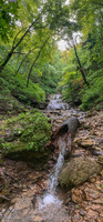 Panorama 481 Panorama 