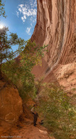 Panorama 502 Lake Powell Utah 2020 Panorama 