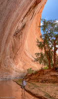 Panorama 506 Lake Powell Utah 2020 Panorama 