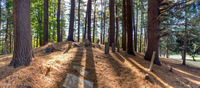 Panorama 536 Panorama Upstate New York 
