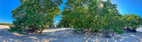 Panorama 546 Everglades 2020 Dec Panorama Rabbit Key