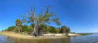 Panorama 554 Hall Creek 2021 Panorama Live Oak Key